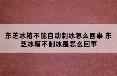 东芝冰箱不能自动制冰怎么回事 东芝冰箱不制冰是怎么回事